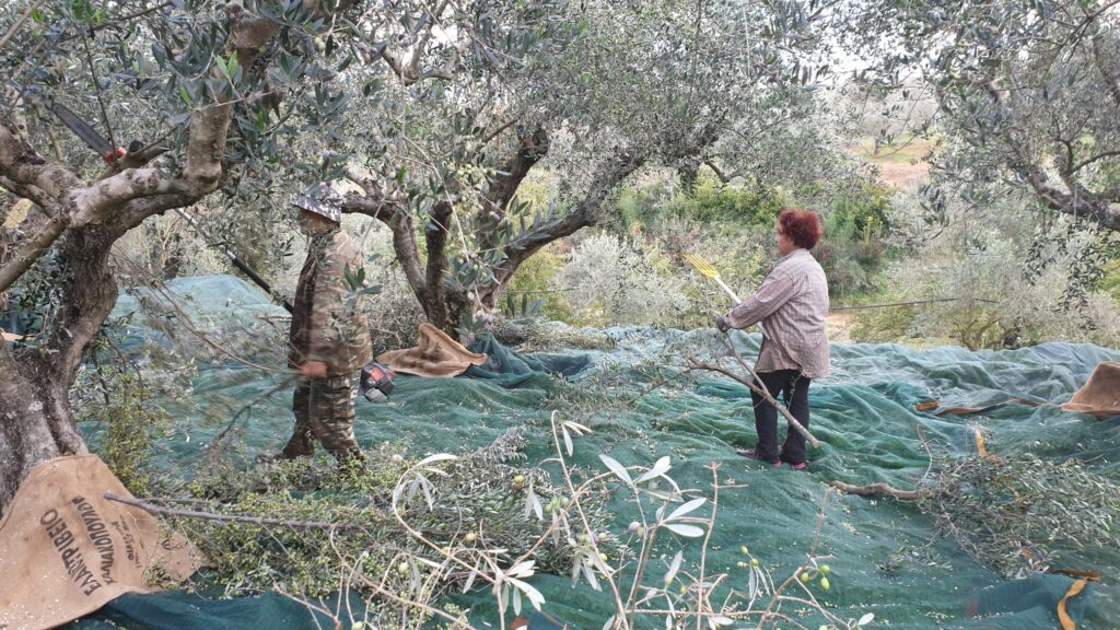 WhatsApp Image 2021-09-14 at 19.46.57