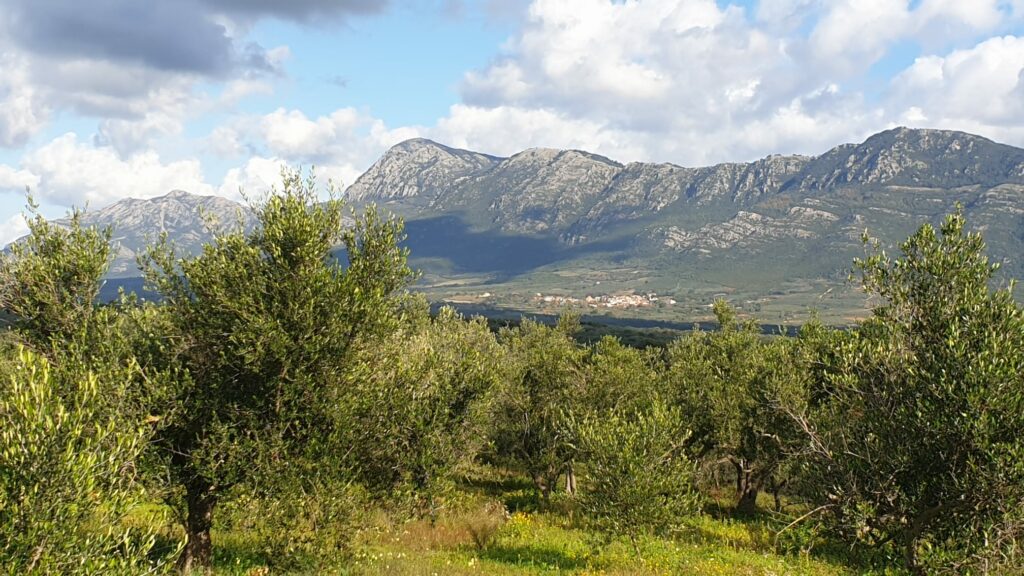 WhatsApp Image 2021-09-14 at 19.46.58