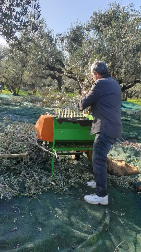 WhatsApp Image 2021-09-14 at 19.47.00