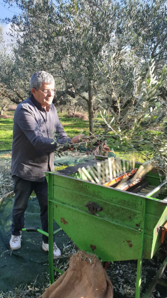 WhatsApp Image 2021-09-14 at 19.47.02