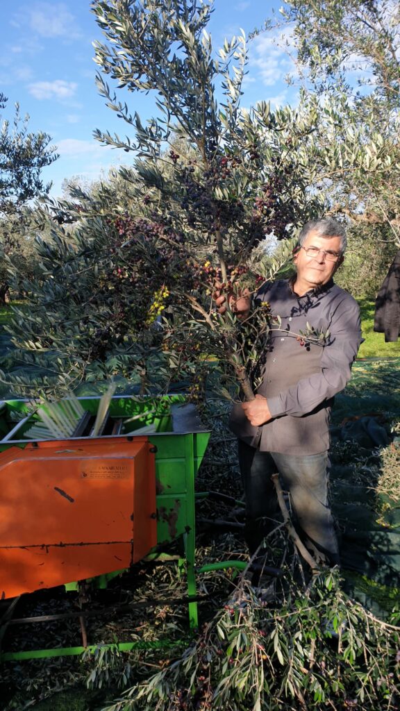 WhatsApp Image 2021-09-14 at 19.47.15