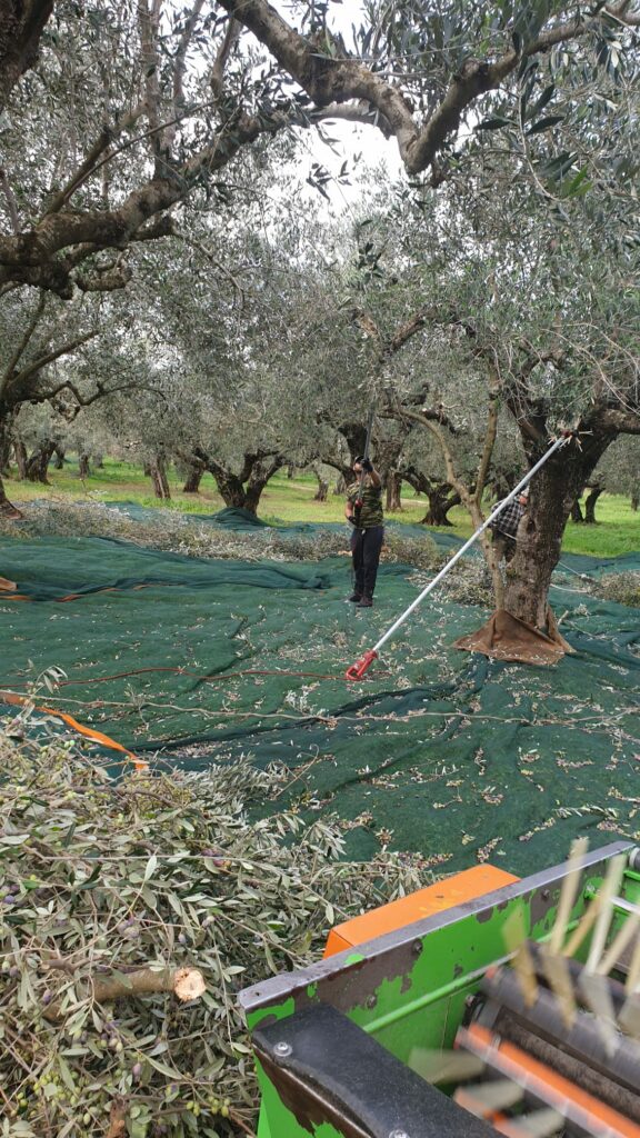 WhatsApp Image 2021-09-14 at 19.47.27