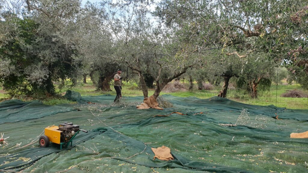 WhatsApp Image 2021-09-14 at 19.47.30