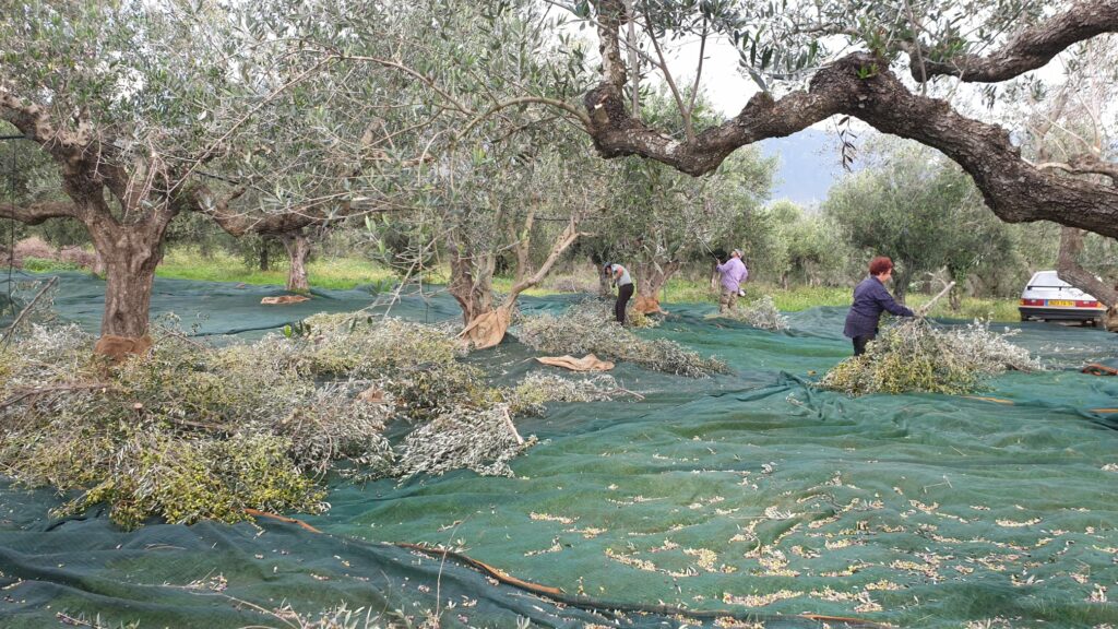 WhatsApp Image 2021-09-14 at 19.47.31 (1)